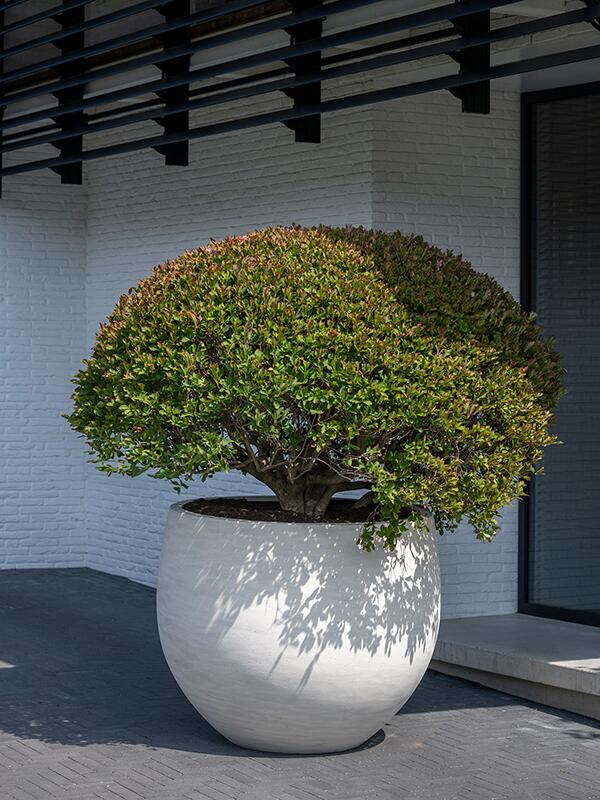 Кашпо Urban jumbo orb m ivory washed D111 H91 см