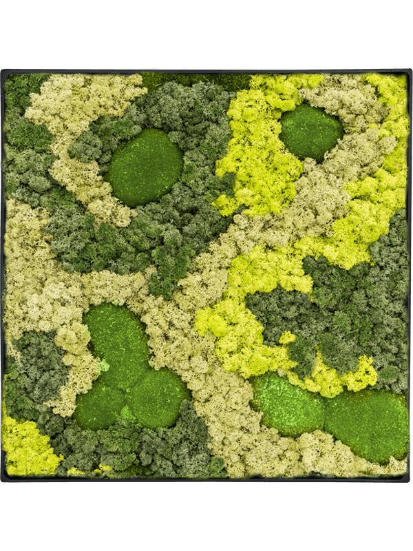 Картина из мха nova frame anthracite-concrete 30% ball moss 70% reindeer moss (mix) L40 W40 H5 см