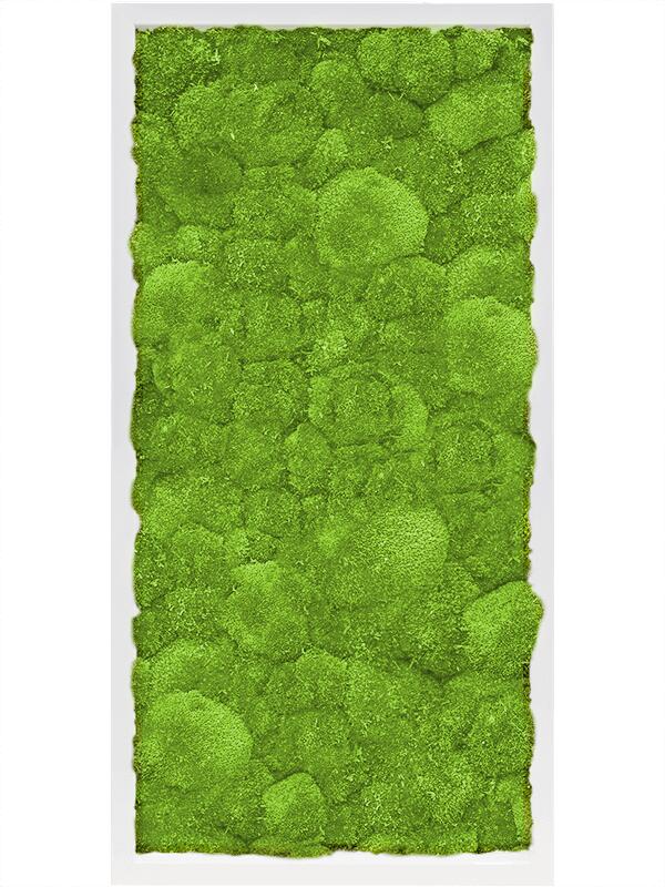 Картина из мха mdf ral 9010 satin gloss 100% ball moss L80 W40 H6 см