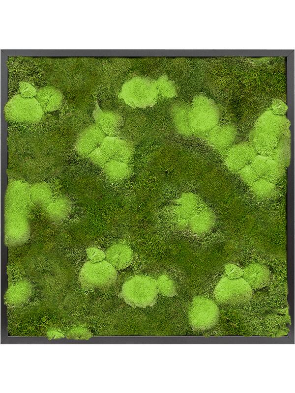 Картина из мха mdf ral 9005 satin gloss 30% ball- and 70% flat moss L80 W80 H6 см