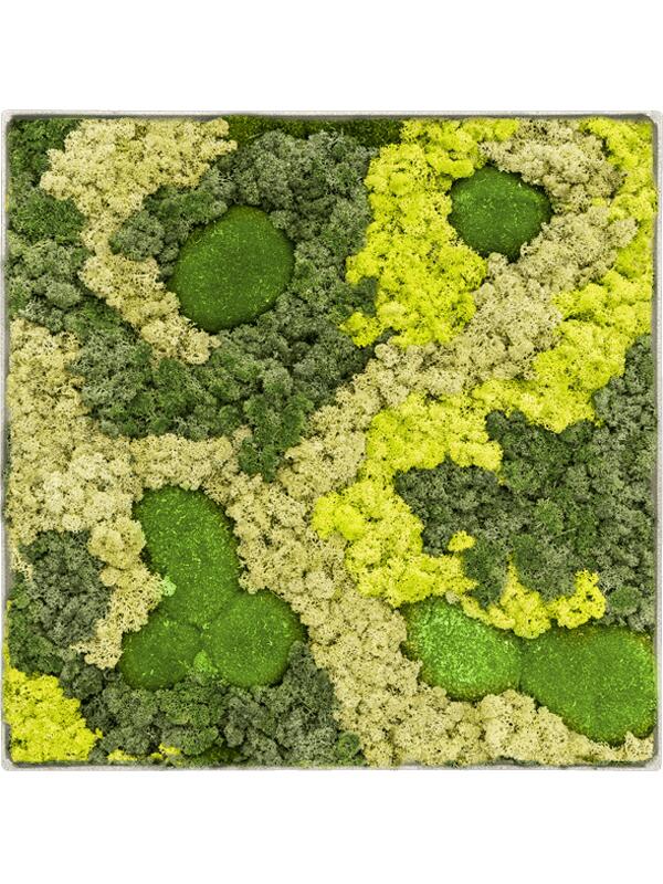 Картина из мха nova frame antique white-concrete 30% ball moss 70% reindeer moss (mix) L70 W70 H5 см