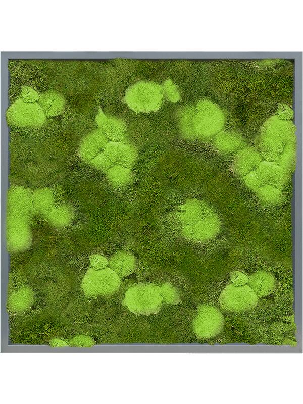 Картина из мха mdf ral 7016 satin gloss 30% ball- and 70% flat moss L80 W80 H6 см