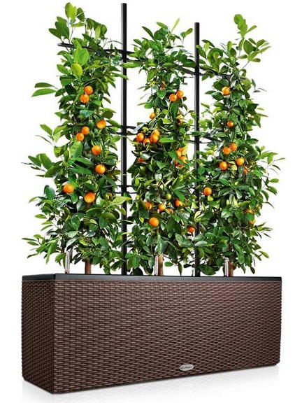 Кашпо Lechuza Trio Cottage