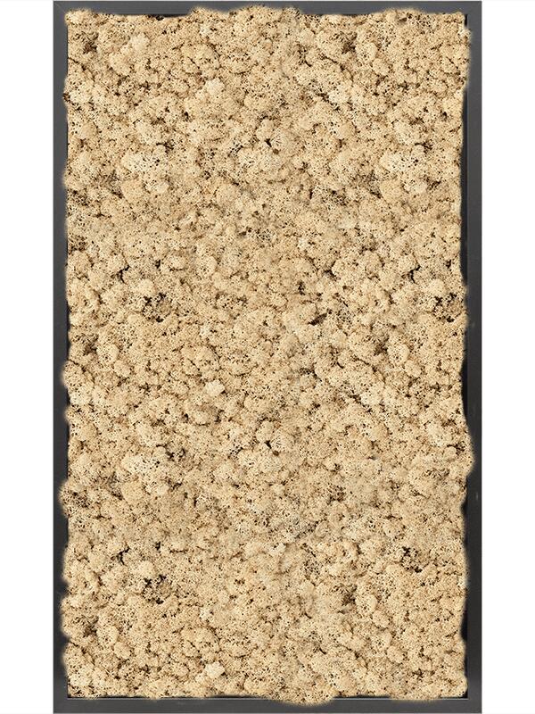 Картина из мха mdf ral 9005 satin gloss 100% reindeer moss (natural) L100 W60 H6 см