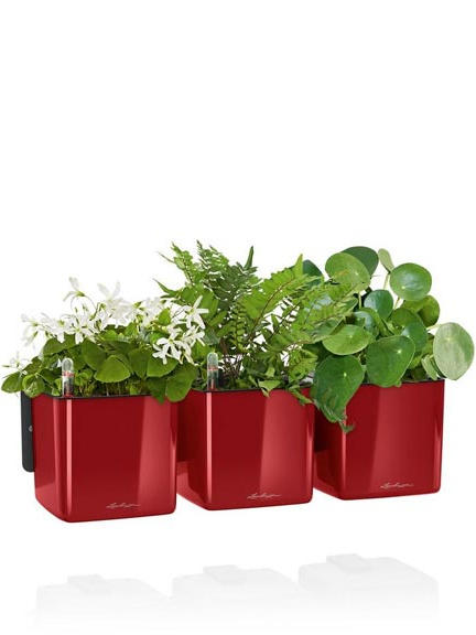 Кашпо Lechuza Green Wall Glossy