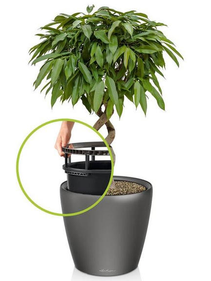 Кашпо Lechuza Classico LS