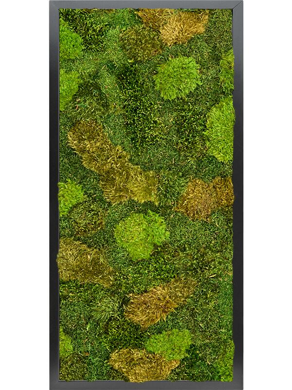 Картина из мха mdf ral 9005 satin gloss 20% flat and 80% exclusive moss (mix) L80 W40 H6 см