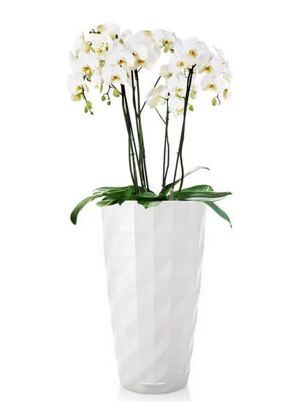 Кашпо Lechuza Diamante