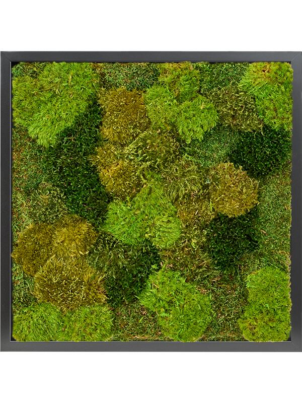 Картина из мха mdf ral 9005 satin gloss 20% flat and 80% exclusive moss (mix) L40 W40 H6 см