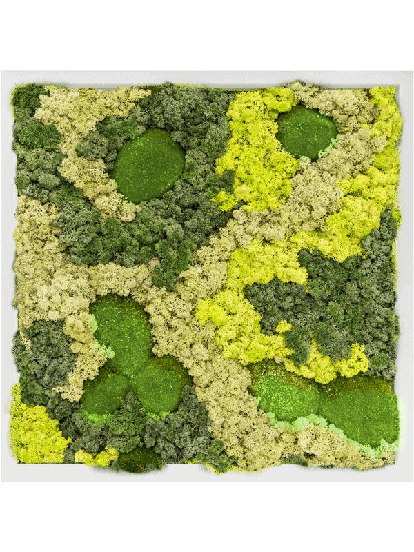 Картина из мха mdf ral 9010 satin gloss 30% ball moss 70% reindeer moss (mix) L60 W60 H6 см