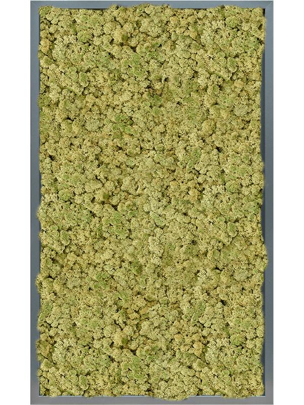 Картина из мха mdf ral 7016 satin gloss 100% reindeer (oldgreen) L100 W60 H6 см