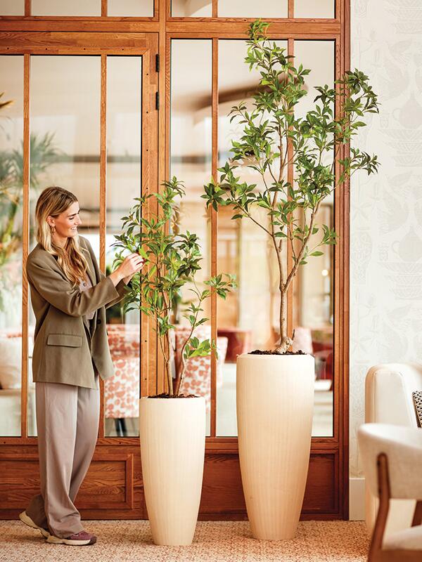 Кашпо Baq polystone plain partner natural (с техническим горшком) D50 H120 см