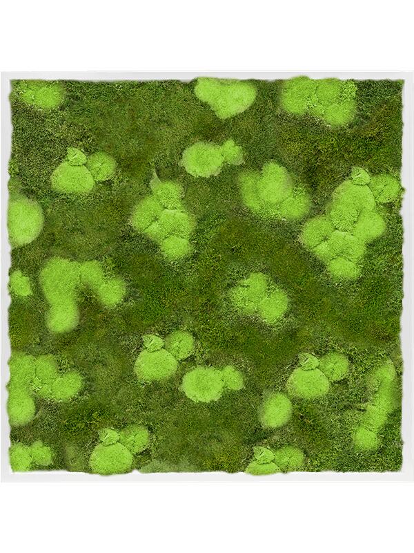 Картина из мха mdf ral 9010 satin gloss 30% ball- and 70% flat moss L100 W100 H6 см