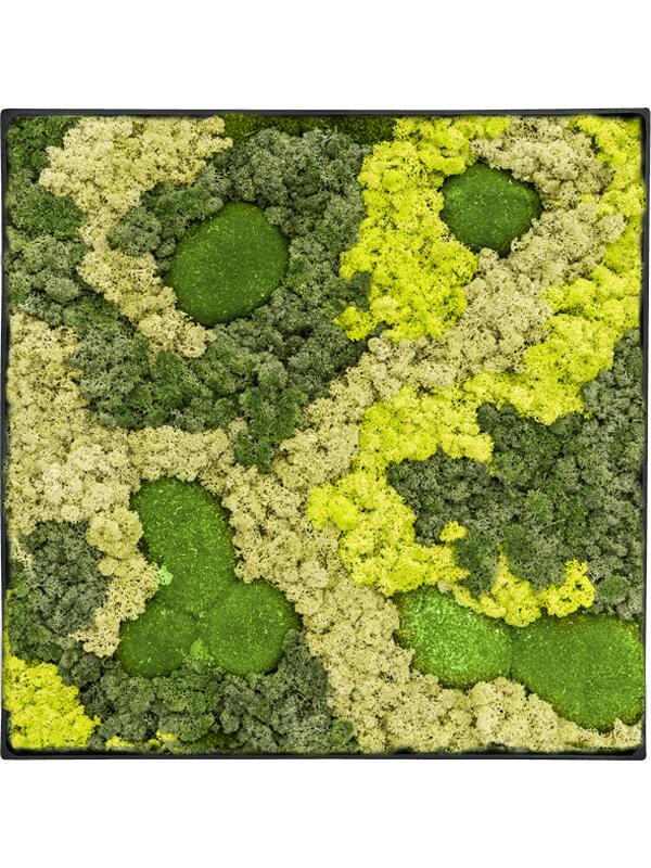 Картина из мха nova frame anthracite-concrete 30% ball moss 70% reindeer moss (mix) L80 W80 H5 см