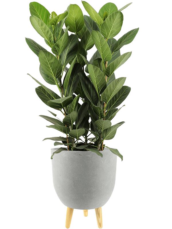 Кашпо Ruth pot light grey (набор 2 шт) D32 H41 см