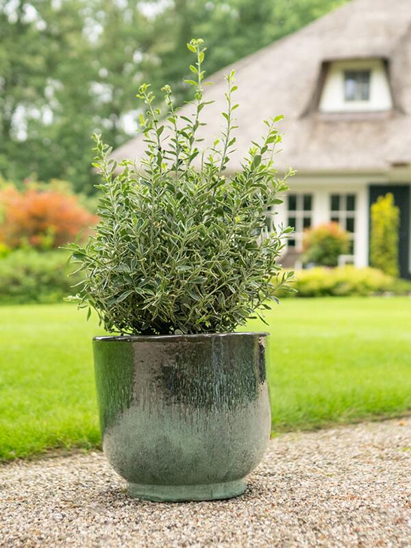 Кашпо Linne pot holly green (набор 4 шт) D55 H47 см