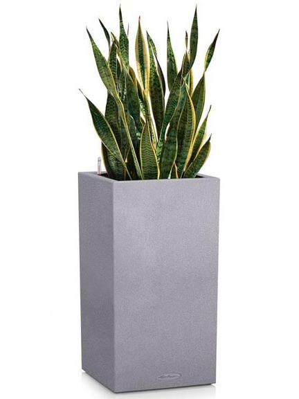 Кашпо Lechuza Canto Stone high