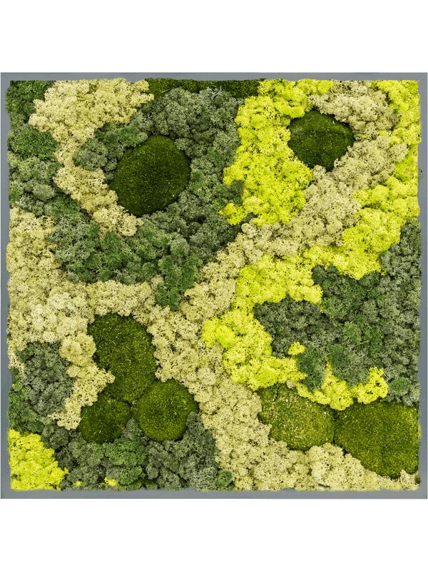 Картина из мха mdf ral 7016 satin gloss 30% ball moss 70% reindeer moss (mix) L80 W80 H6 см
