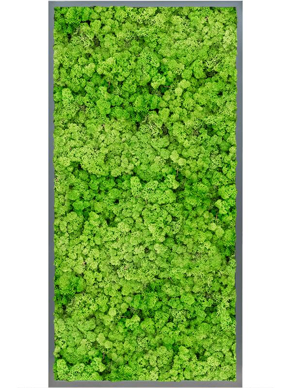 Картина из мха mdf ral 7016 satin gloss 100% reindeer (light grass green) L120 W60 H6 см