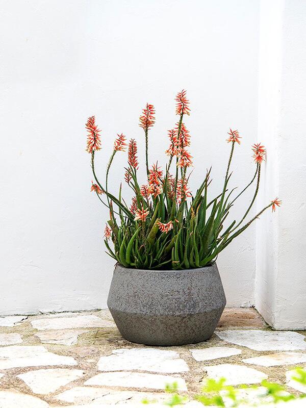 Кашпо Cement & stone harley low s, dioriet grey D36 H21 см