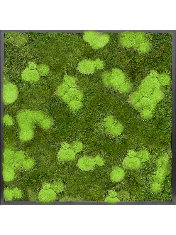Картина из мха mdf ral 9005 satin gloss 30% ball- and 70% flat moss L100 W100 H6 см