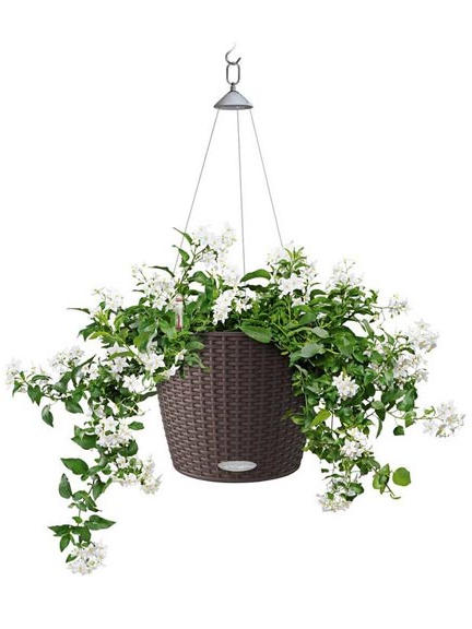 Кашпо Lechuza Nido Cottage