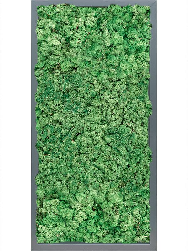 Картина из мха mdf ral 7016 satin gloss 100% reindeer (grass green) L80 W40 H6 см