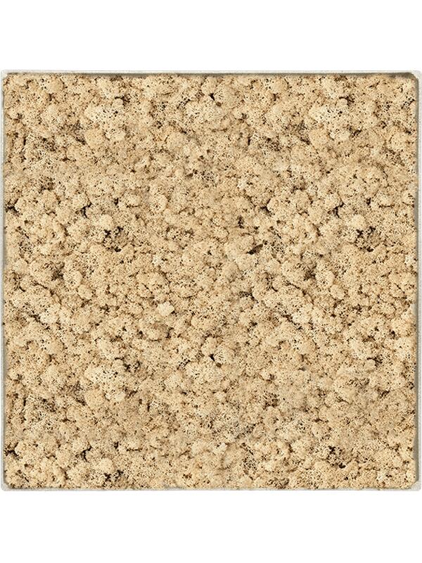 Картина из мха nova frame antique white-concrete 100% reindeer (natural) L60 W60 H5 см