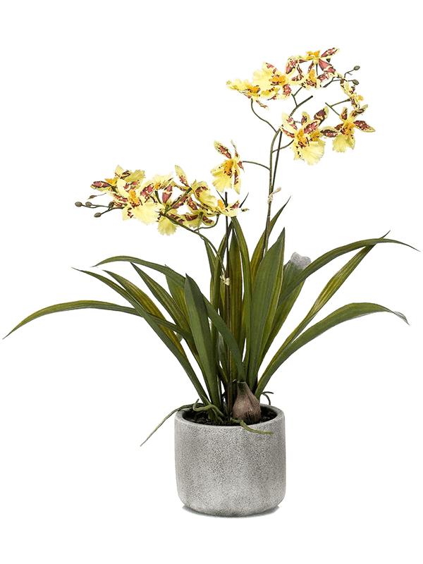Орхидея Онцидиум желто-коричневая в горшке искусственная H45 см (арт.  8EE425587) - купить за 6 640 ₽ в интернет-магазине Гарден Гров