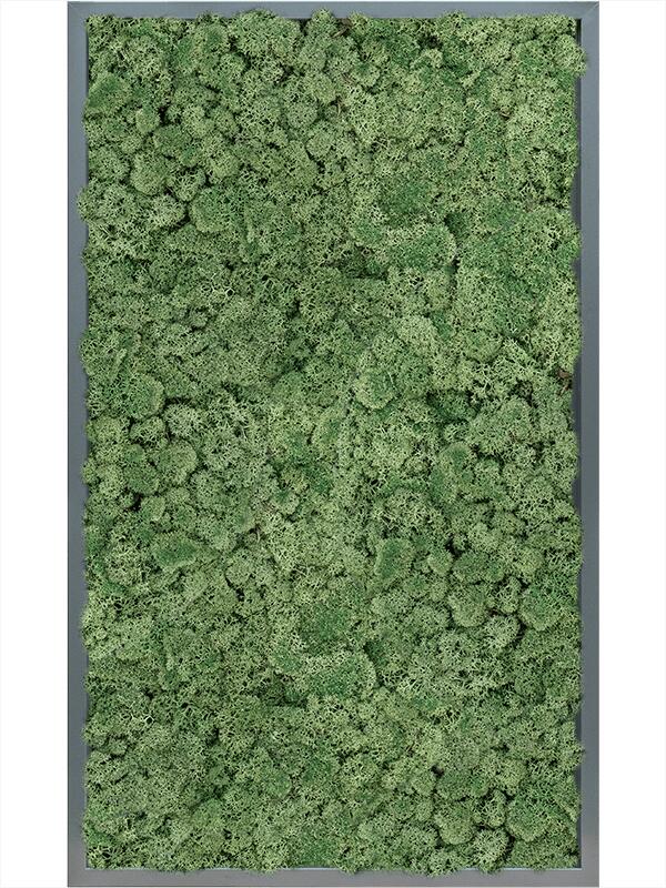 Картина из мха mdf ral 7016 satin gloss 100% reindeer moss (moss green) L100 W60 H6 см