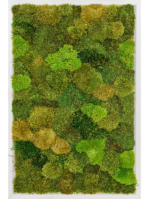 Картина из мха aluminium 20% flat and 80% exclusive moss (mix) L120 W80 H6 см
