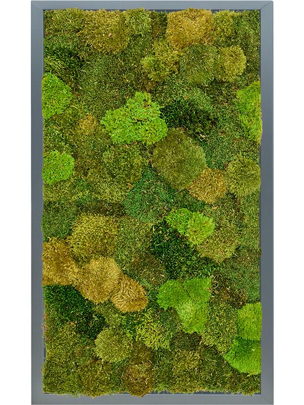 Картина из мха mdf ral 7016 satin gloss 20% flat and 80% exclusive moss (mix) L100 W60 H6 см
