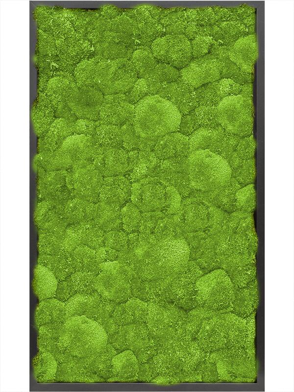 Картина из мха mdf ral 9005 satin gloss 100% ball moss L100 W60 H6 см