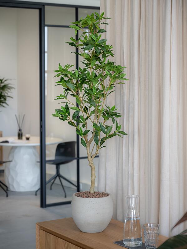 Кашпо Cement & stone mini orb m beige washed D25 H21 см