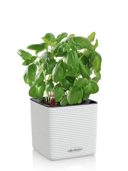 Кашпо Lechuza Cube Color