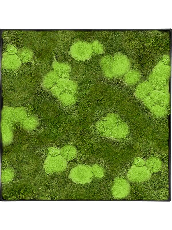 Картина из мха nova frame anthracite-concrete 30% ball- and 70% flat moss L60 W60 H5 см