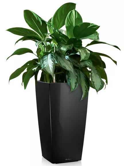 Кашпо Lechuza Cubico