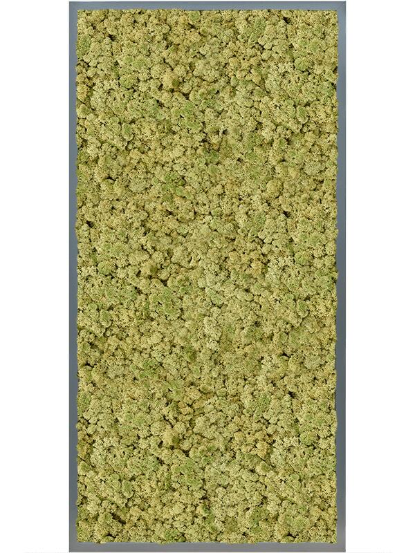 Картина из мха mdf ral 7016 satin gloss 100% reindeer (oldgreen) L120 W60 H6 см