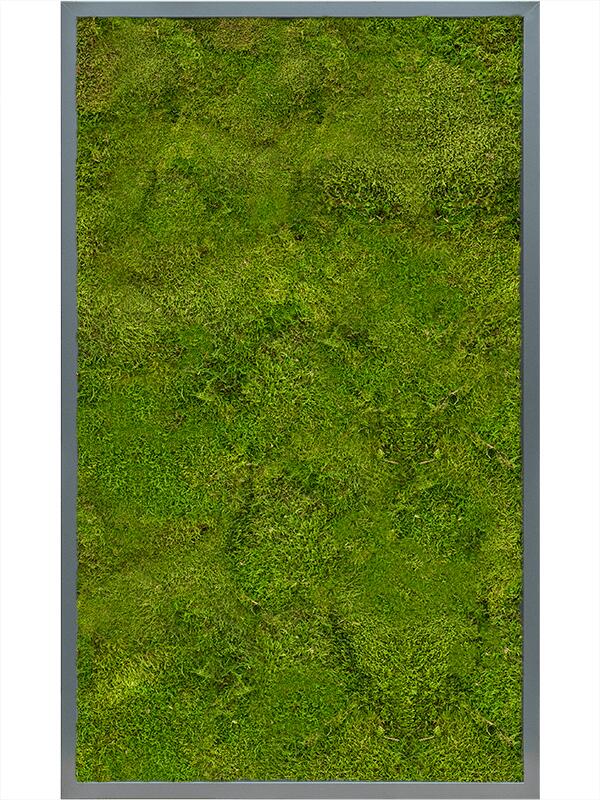 Картина из мха mdf ral 7016 satin gloss 100% flat moss L100 W60 H6 см