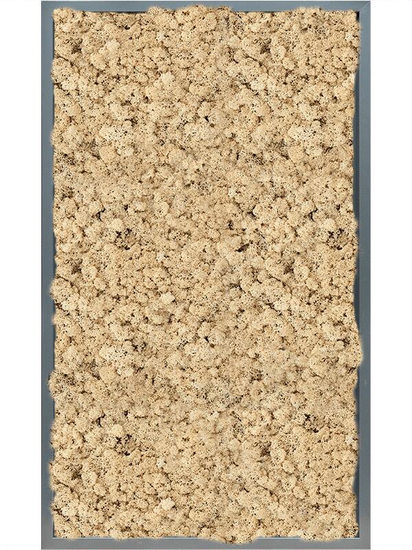 Картина из мха mdf ral 7016 satin gloss 100% reindeer (natural) L100 W60 H6 см