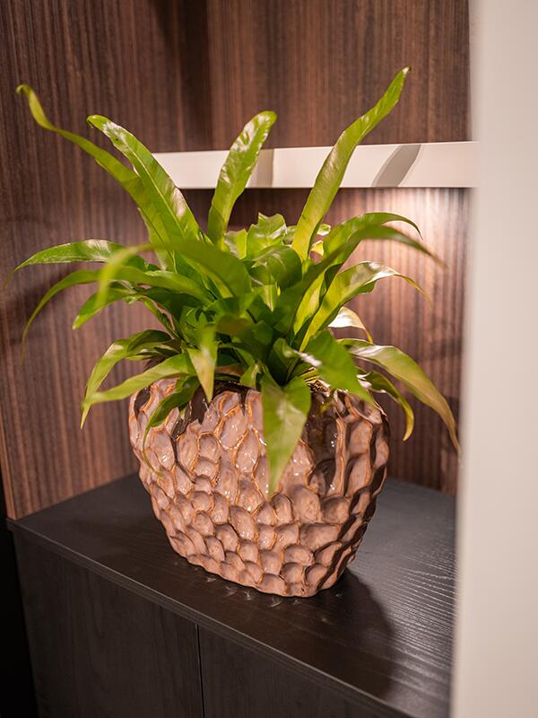 Кашпо Rachel planter mauve L36 W21 H26 см Кашпо Rachel planter mauve L36 W21 H26 см