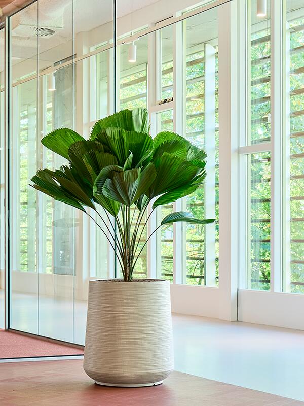 Кашпо Baq dune darcy beige D38 H43 см Кашпо Baq dune darcy beige D38 H43 см