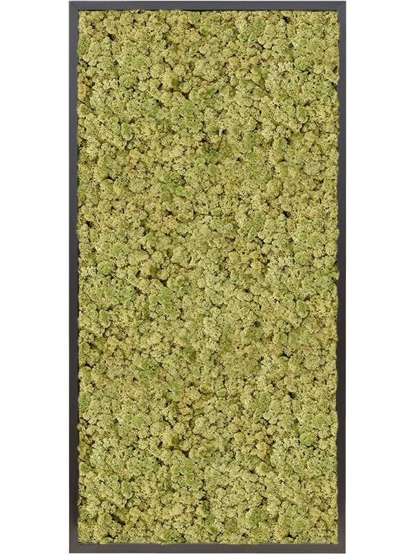 Картина из мха mdf ral 9005 satin gloss 100% reindeer moss (old green) L120 W60 H6 см