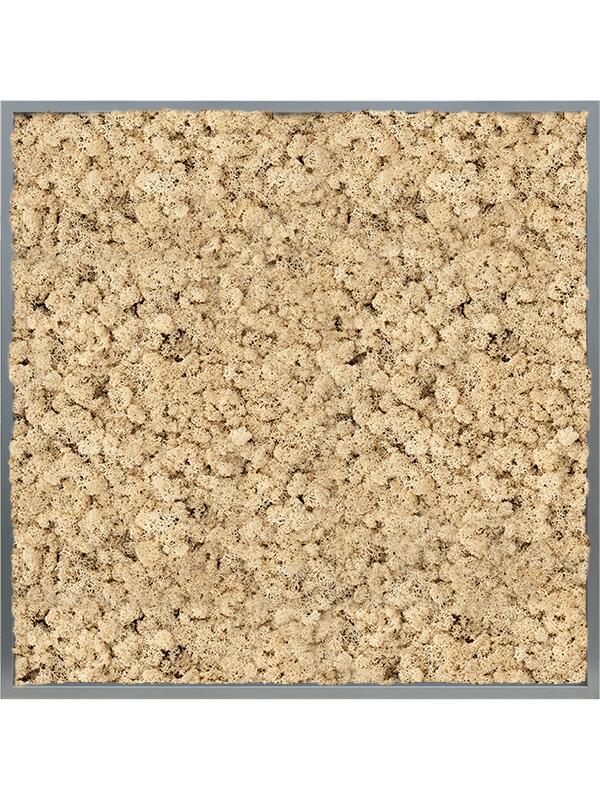 Картина из мха mdf ral 7016 satin gloss 100% reindeer (natural) L100 W100 H6 см