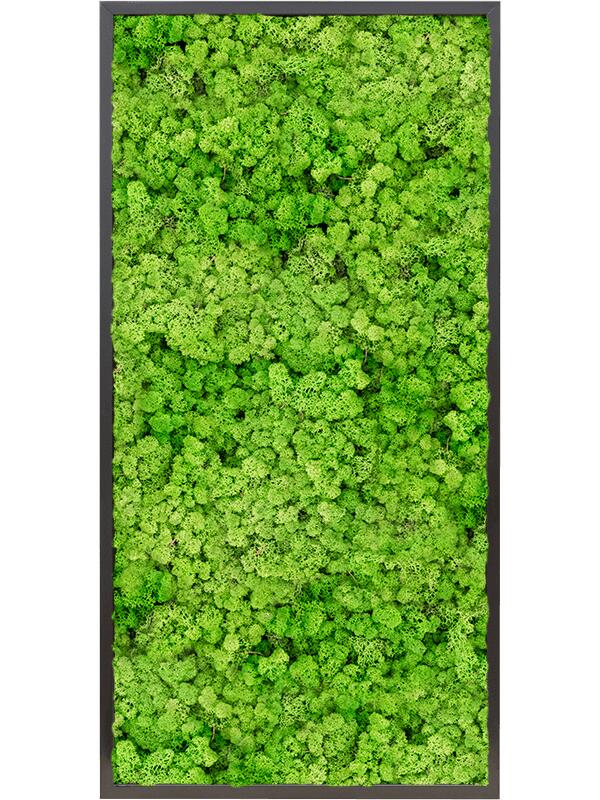 Картина из мха mdf ral 9005 satin gloss 100% reindeer moss (light grass green) L120 W60 H6 см
