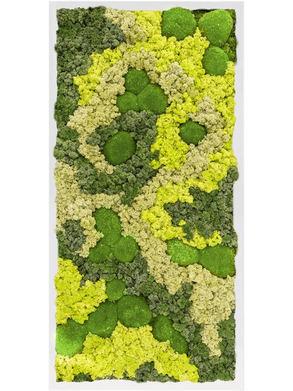 Картина из мха mdf ral 9010 satin gloss 30% ball moss 70% reindeer moss (mix) L80 W40 H6 см