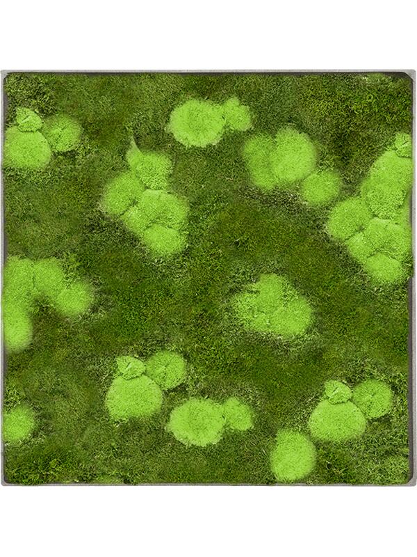 Картина из мха nova frame natural-concrete 30% ball- and 70% flat moss L90 W90 H5 см