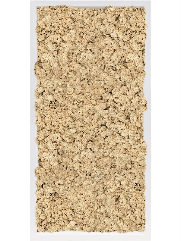 Картина из мха mdf ral 9010 satin gloss 100% reindeer moss (natural) L80 W40 H6 см