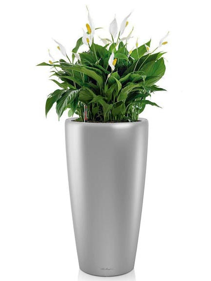 Кашпо Lechuza Rondo