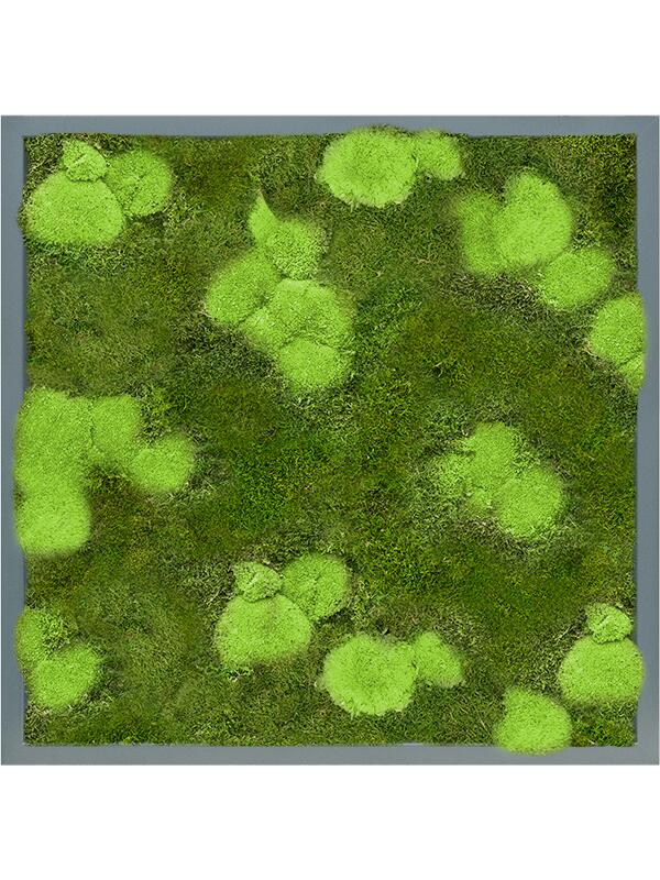 Картина из мха mdf ral 7016 satin gloss 30% ball- and 70% flat moss L60 W60 H6 см